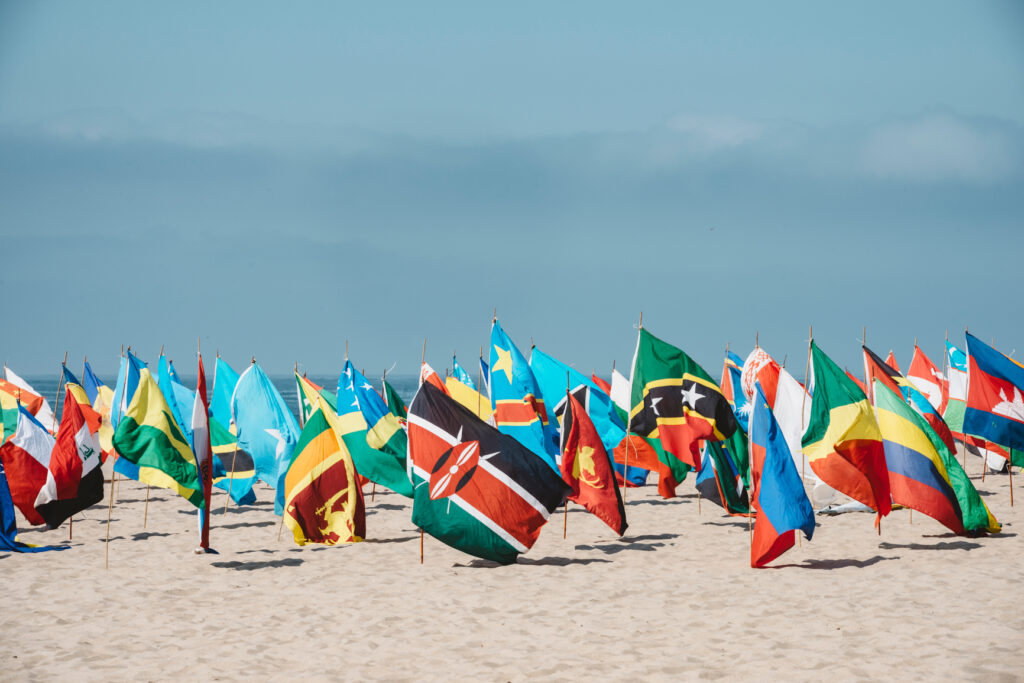 flags of the world