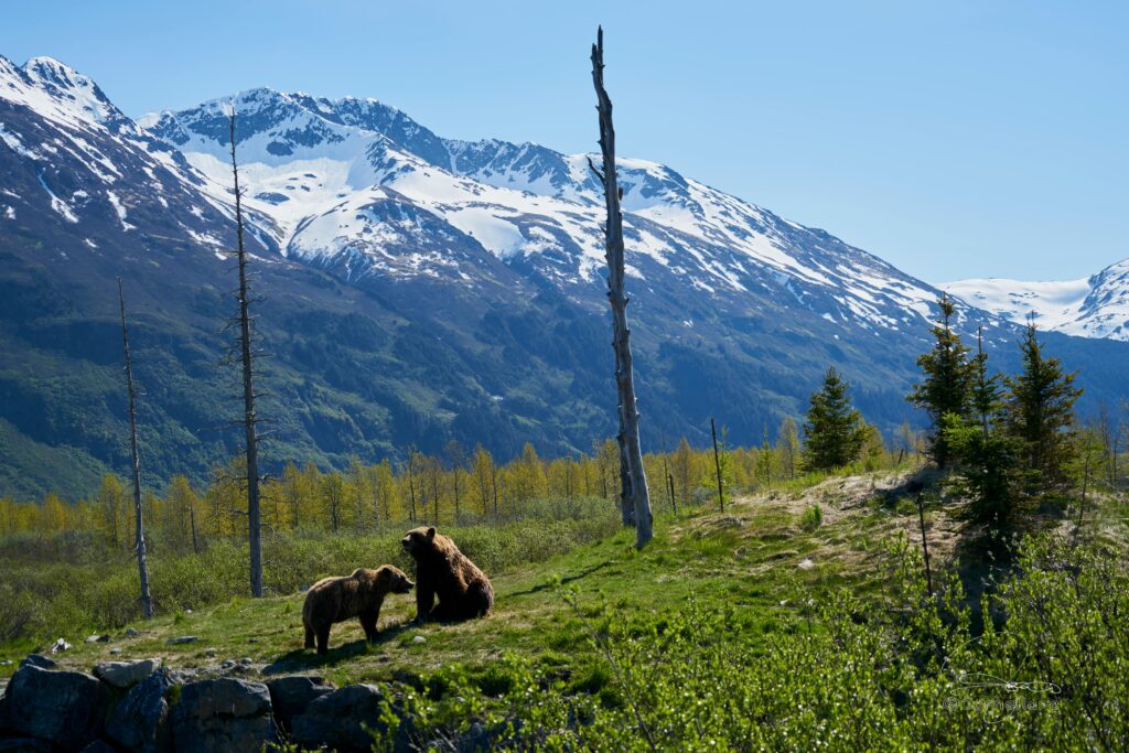 Alaska