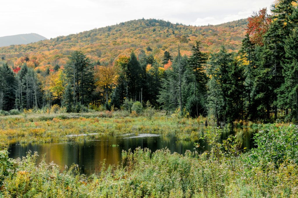 Vermont