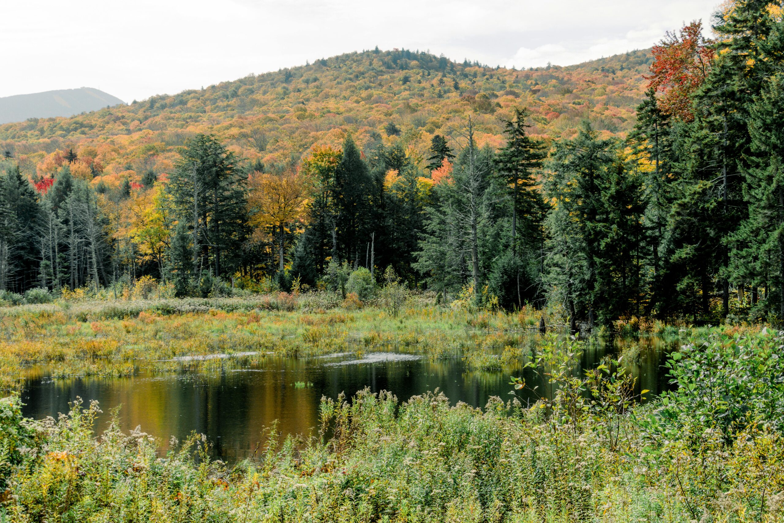 Vermont